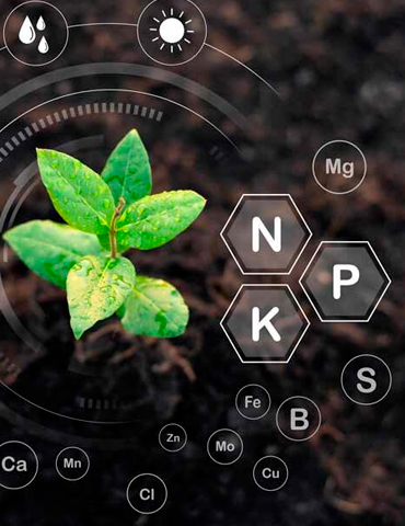 agroalerbo bioestimulantes