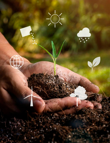 fertilizantes organicos