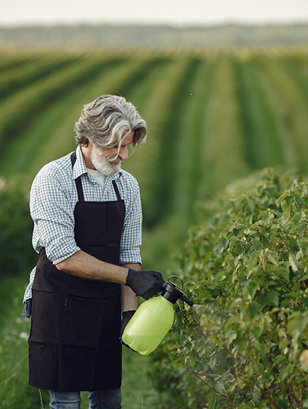 agroalerbo comercializadora fertilizantes para el campo